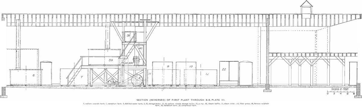 section reversed of first plant