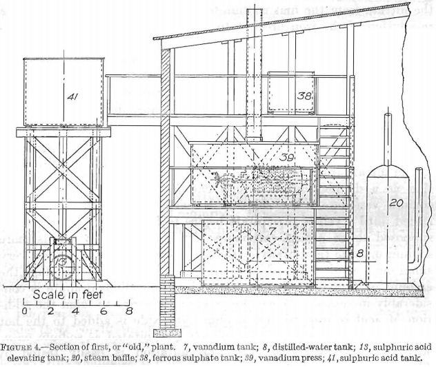 section of first or old plant