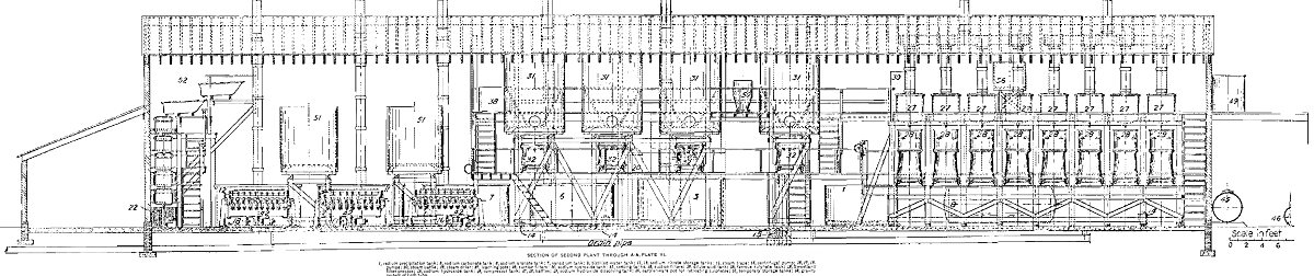 section of second plants