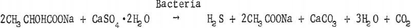 microbial-conversion-equation